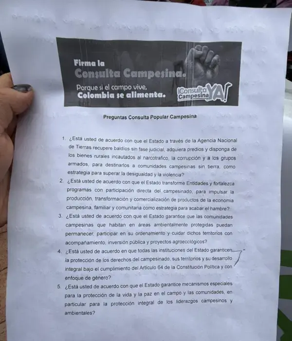 Preguntas de la consulta popular